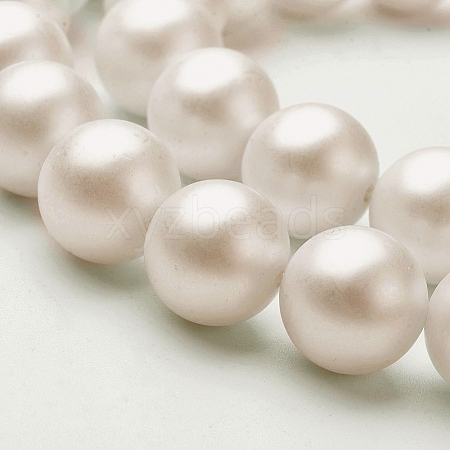 Shell Imitated Pearl Bead Strands BSHE-F0014-6mm-10-1