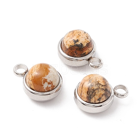 Natural Picture Jasper Charms G-K325-01P-06-1