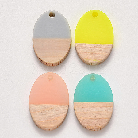 Resin & Wood Pendants RESI-S384-007A-1