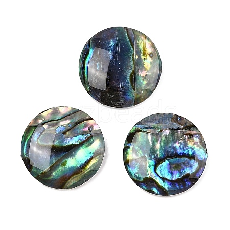 Natural Paua Shell Cabochons SSHEL-I026-20C-1