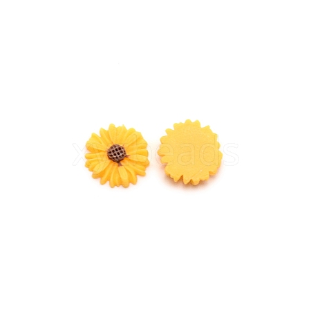 Opaque Resin Cabochons LS-RESI-CJC0011-04A-08-1