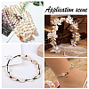 135Pcs 5 Size Natural Conch Shell Beads BSHE-PH0001-14-7