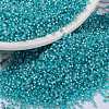 MIYUKI Round Rocailles Beads X-SEED-G009-RR0647-1