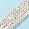 Natural Cultured Freshwater Pearl Beads Strands PEAR-E018-13-2