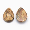 Natural Picture Jasper Cabochons G-E491-B-26-2