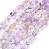 Natural Ametrine Beads Strands G-P497-01C-48-1