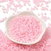 Glass Seed Beads SEED-H002-H-1305-2
