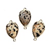 Natural Dalmatian Jasper Faceted Teardrop Connector Charms G-B081-03G-10-1