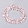 Faceted Glass Beads Strands GLAA-A036-F07-2