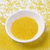 MIYUKI Delica Beads SEED-X0054-DB1301-2