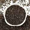 Electroplate Glass Seed Beads SEED-H003-10I-3