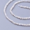 Shell Beads Strands G-F619-27-2mm-3