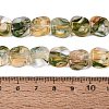 Handmade Lampwork Beads Strands LA-N046-01G-4