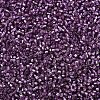 MIYUKI Delica Beads SEED-J020-DB2169-3