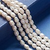 Grade A Natural Cultured Freshwater Pearl Strands A23WM011-01-2