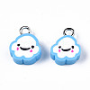 Handmade Polymer Clay Charms CLAY-N006-37B-01C-2