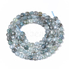 Natural Apatite Beads Strands G-S362-010-2