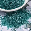 MIYUKI Delica Beads SEED-J020-DB2380-1