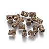 Tibetan Style Alloy Beads LS-MLF10149Y-NF-1