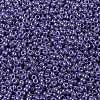 MIYUKI Round Rocailles Beads SEED-JP0010-RR0434-3