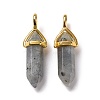 Natural Labradorite Pointed Pendants G-K329-61G-2