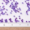 MIYUKI Delica Beads SEED-JP0008-DB1755-4
