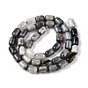 Natural Eagle Eye Stone Beads Strands G-G980-43-3