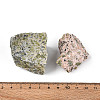 Natural Peridot Geode Cornucopia Mineral Specimen G-N347-13C-4