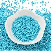 Baking Paint Glass Seed Beads X-SEED-S042-05B-58-2