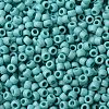 TOHO 8/0 Round Beads SEED-XTR08-0413F-1