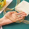 1M Mesh Ribbon PNT-TA0001-02C-7