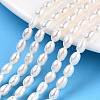 Natural Cultured Freshwater Pearl Beads Strands PEAR-N012-04K-1
