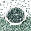 Transparent Colours Glass Seed Beads SEED-Q042-01A-A10-2
