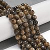 Natural Black Moonstone Beads Strands G-Q183-A01-02-2