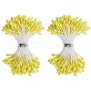 1 Bag Eco-Friendly Matte Gypsum Flower Core FIND-DJ0001-48D-1