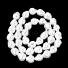 Electroplated Glass Shell Pearl Beads Strands BSHE-B009-D01-01-2