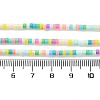 Handmade Lampwork Beads Strands LAMP-L078-008I-4