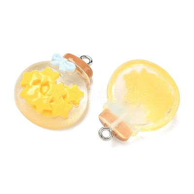 Transparent Resin Pendants RESI-K203-19-1