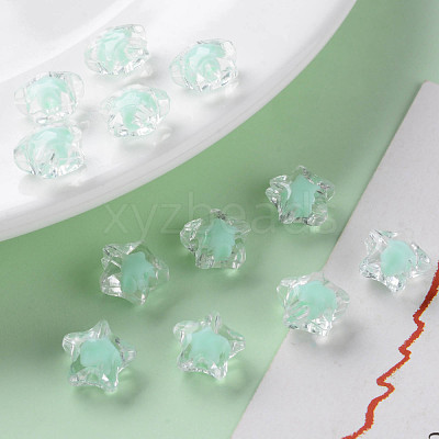 Transparent Acrylic Beads TACR-S152-01A-SS2111-1
