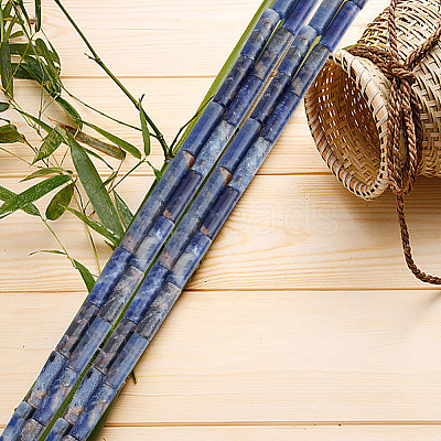 2 Strands Natural Sodalite Beads Strands G-GO0001-42-1