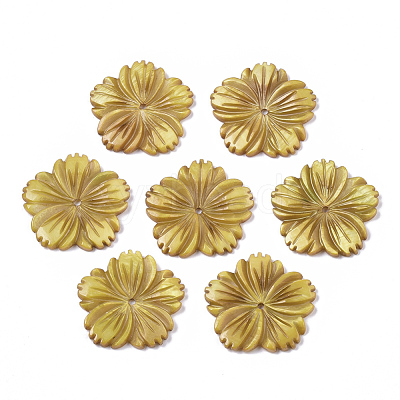 Natural Freshwater Shell Beads SHEL-N026-10-1