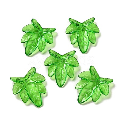 Transparent Acrylic Pendant LS-OACR-E039-69D-1