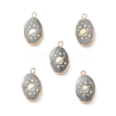 Natural Labradorite Pendants G-K333-01L-1