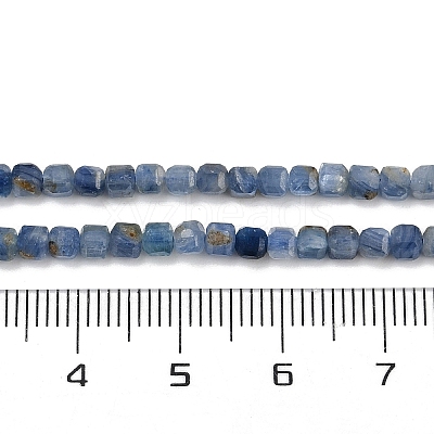 Natural Kyanite Beads Strands G-B088-E24-03A-1