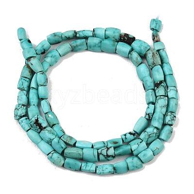 Dyed Natural Crackle Turquoise Beads Strands G-K365-G03-02-1