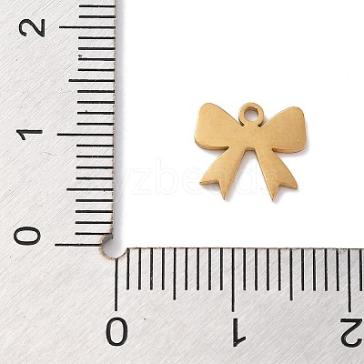 304 Stainless Steel Charms STAS-R003-01G-04-1