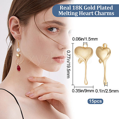 15Pcs Ion Plating(IP) 304 Stainless Steel Pendants STAS-BBC0002-11-1