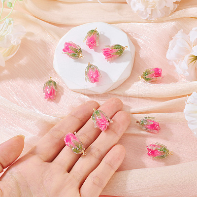10Pcs Transparent Acrylic Pendants SACR-TA0001-66A-1