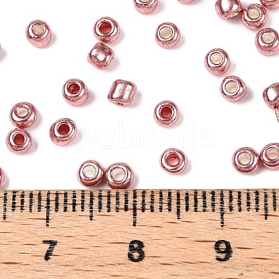 8/0 Glass Seed Beads X-SEED-A017-3mm-1108-1