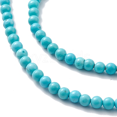 Natural Howlite Beads Strands TURQ-K005-01B-1